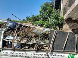 Best Scrap Metal Removal  in Ignacio, CO